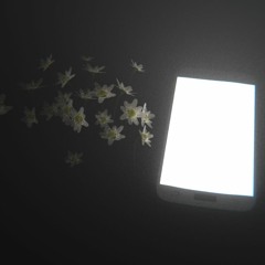 ＭＯＲＮＩＮＧ ＦＬＯＷＥＲ (remix)