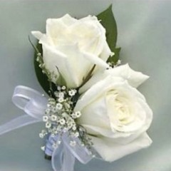 DanooH مقطع دانوه كامل  دس بنات  راب