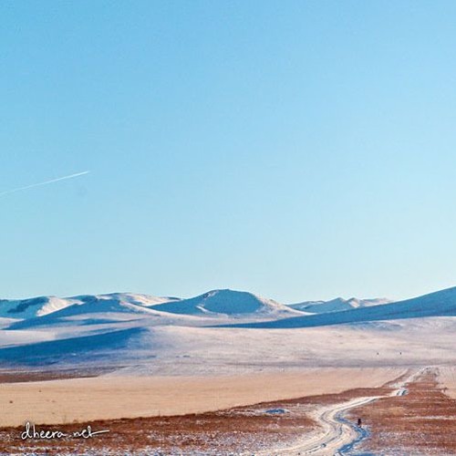 Chill In Mongolia