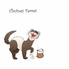 Chutney Ferret