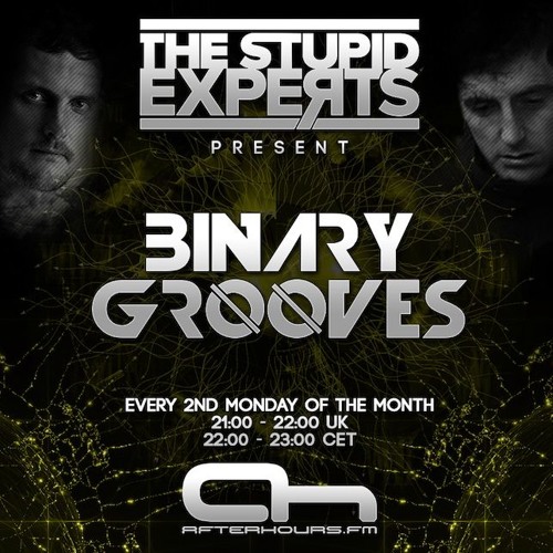 The Stupid Experts - Binary Grooves 011