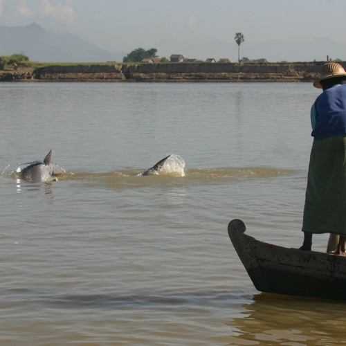 Talk Travel Asia - Ep.93: Living Irrawaddy Dolphin Project with Paul Eshoo