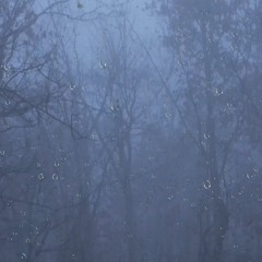 Night Storms (10 Hours) Rain and Thunderstorm Sounds for Sleeping, Insomnia, Stress Relief or Study