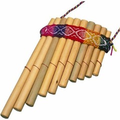 "El Condor Pasa" Variations