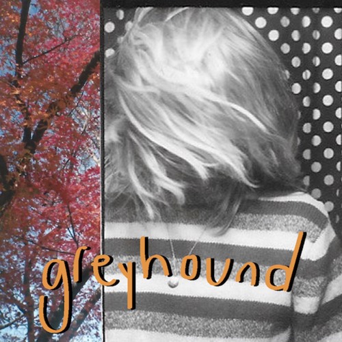 greyhound