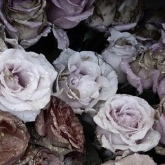 Dir En Grey - Glass Skin (piano)