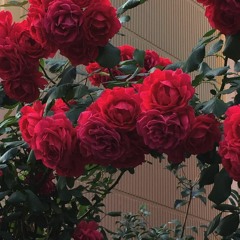 no sleep (www.miserybeats.com)