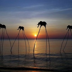 EPIZODE³ DJ SET - Steve Wu