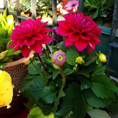 The Best Of 2018 Vol.2