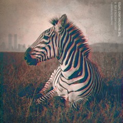 Madwreck - No, I Remember