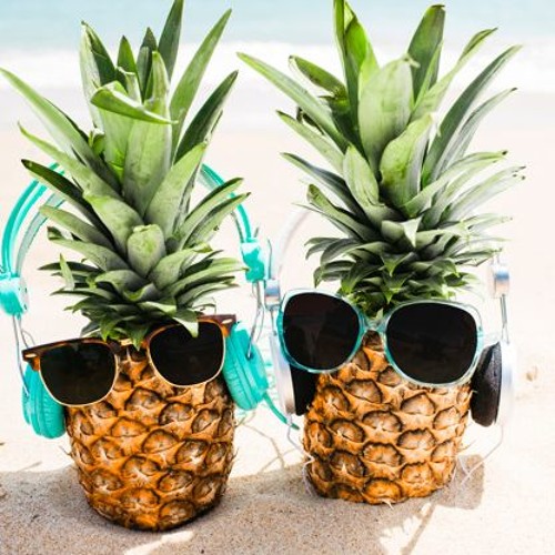 Summer 2019: Music is Sweet!