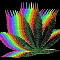 Hun Bolobolo-Pirates of Liloa