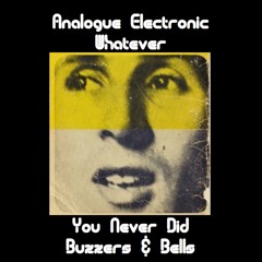 You Never Did/Buzzers & Bells 7" single sample