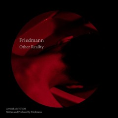 Friedmann - Other Reality [ Acid Techno ]