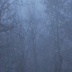 Rain & Thunder Sounds in a Foggy Forest (Loopable)