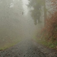 Thunder and Rain Sounds on a Misty Mountain Track (Loopable)