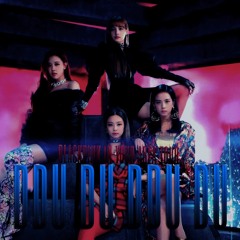 BLACKPINK-DDU-DU-DDU-DU (IN YOUR AREA TOUR)