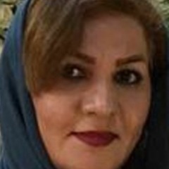 گفت‌وگو صدای آمریکا با آزیتا قره‌بیگلو، وکیل علیرضا گلی‌پور زندانی سیاسی در زندان اوین