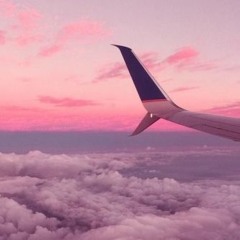 Une Symphonie Rose ♪