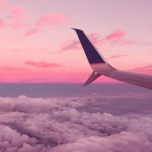 Une Symphonie Rose ♪