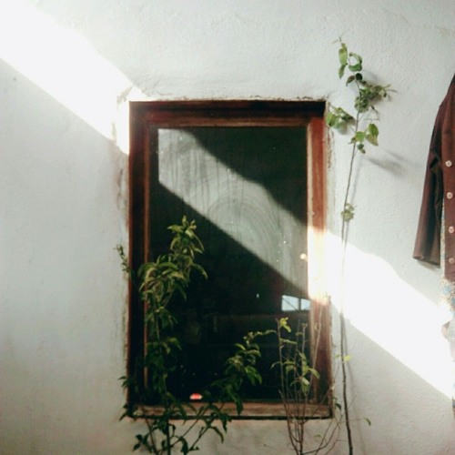 Mem Ararat | Evîn