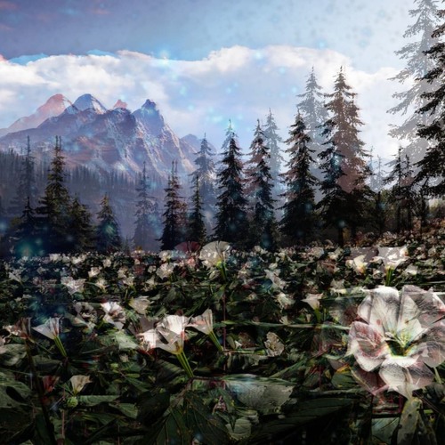 Stream Oh The Bliss - Remix (Far Cry 5 Soundtrack) by Clementine | Listen  online for free on SoundCloud