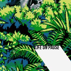 Life on Pause