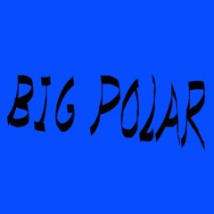 Big Polar (feat. Coulam Wit Da Whip)