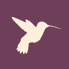 Panic Cord by Gabrielle Aplin - Hummingbird Duo