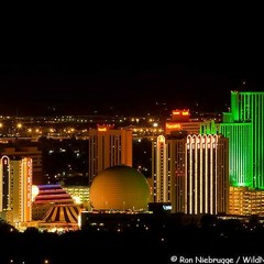 Round It Up Let's Go