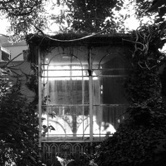 paradise on earth..jan19