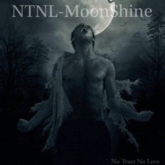 NTNL-MoonShine