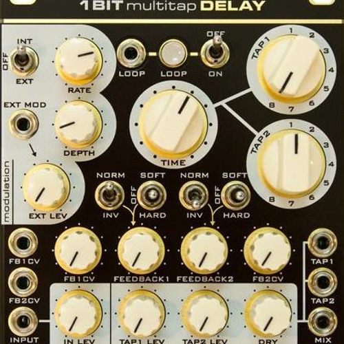 1BIT Multitap Delay / FEEDBACK もん Modulesレア