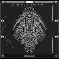 06. Amphibule  (Push/Pull Remix)