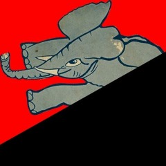 Drunk Drivers / Killer Whales