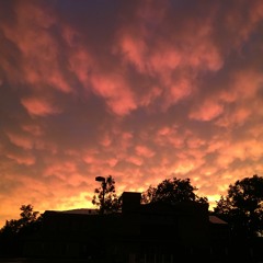 Human - The Killers Cover