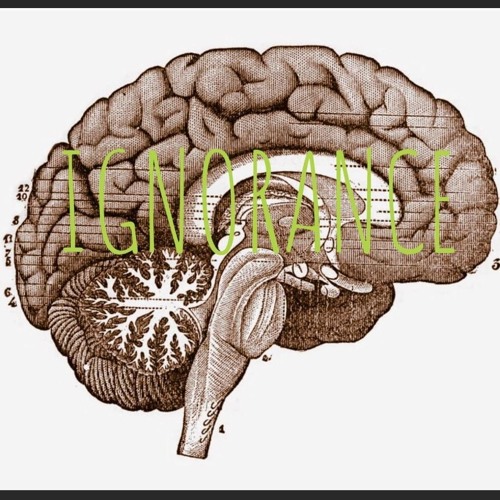 Jey -  Ignorance(Prod. DariYes)