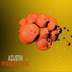 AGUSTIN - Perreo Mix 2
