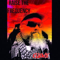 Raise The Frequency - essence ,  Progressive CyberTrance