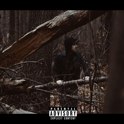 R!PDiP - Темный Лес (prod. by OGsang)