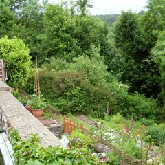 Silence Blues (Earn Your Keep)