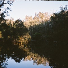 Heavy drinking bedtime