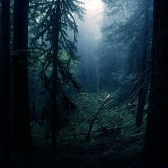 January Mix 2019