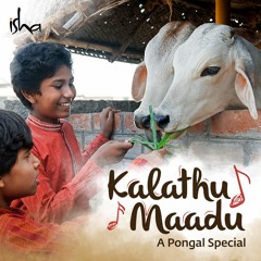 Kalathu Maadu - A Pongal Special