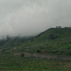 Run - Daughter (cover Irene Muvic)