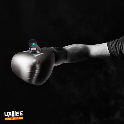 FIGHT ZONE 2020