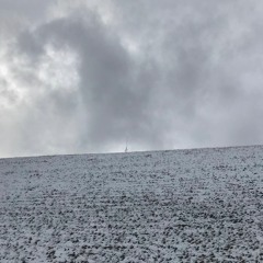 Have One Special Food. Then Never Have It.