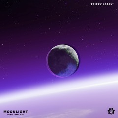 Disclosure - Moonlight (Tripzy Leary Flip)