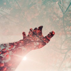 Richard LaBrooy - Giants
