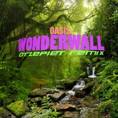 Oasis - Wonderwall (ötzepiet Remix)